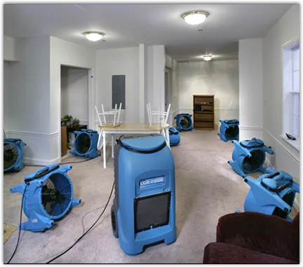 Water Mitigation Services in Bloomingdale, NJ
