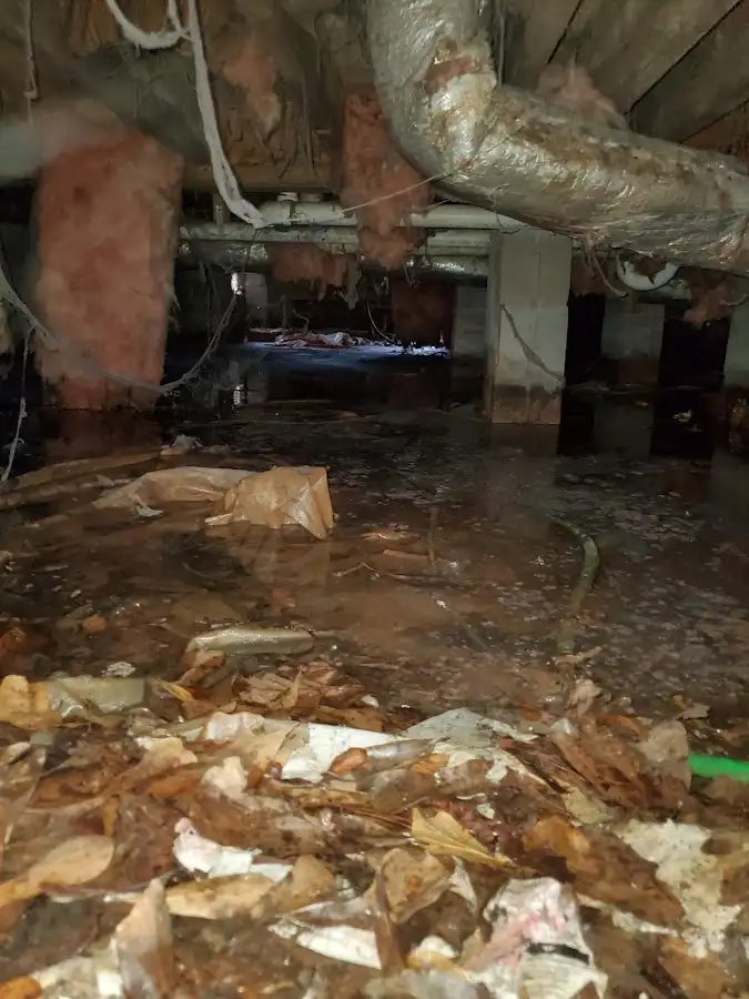 Crawl space flood assessment for Leak Detection & Repair in Bloomingdale