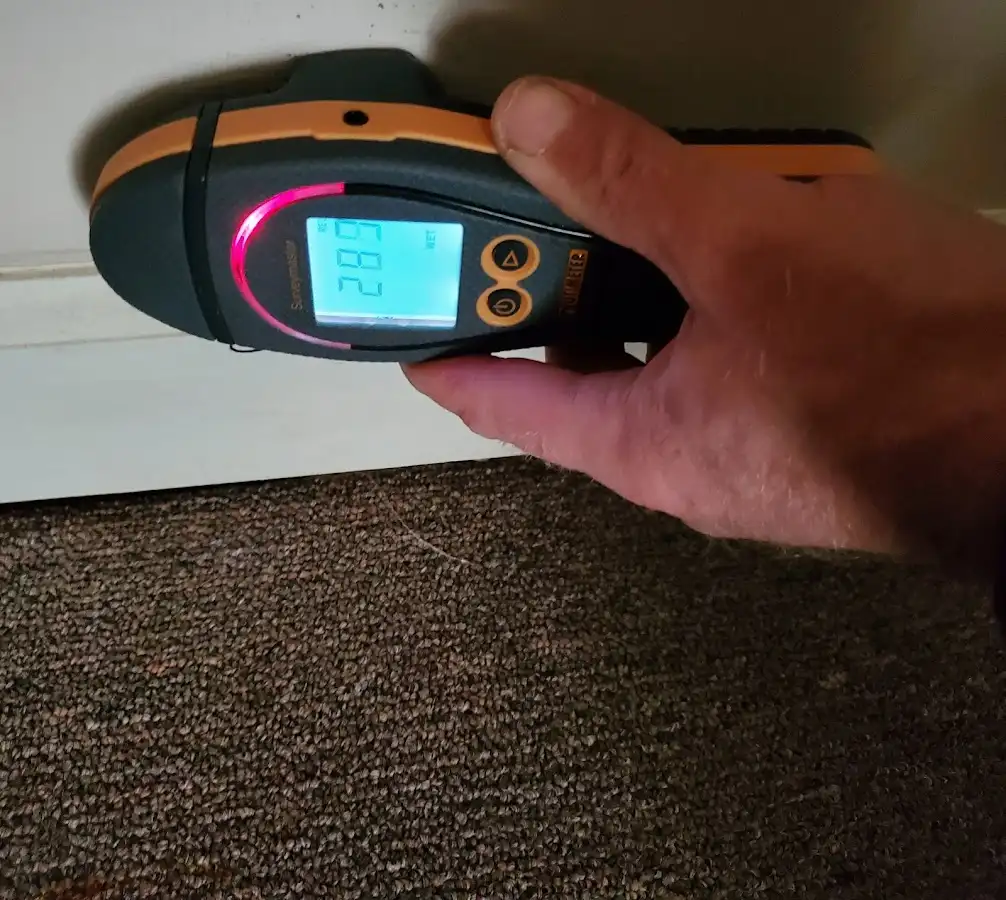 Moisture detection at baseboard during Sewage Cleanup & Sanitation in Bloomingdale